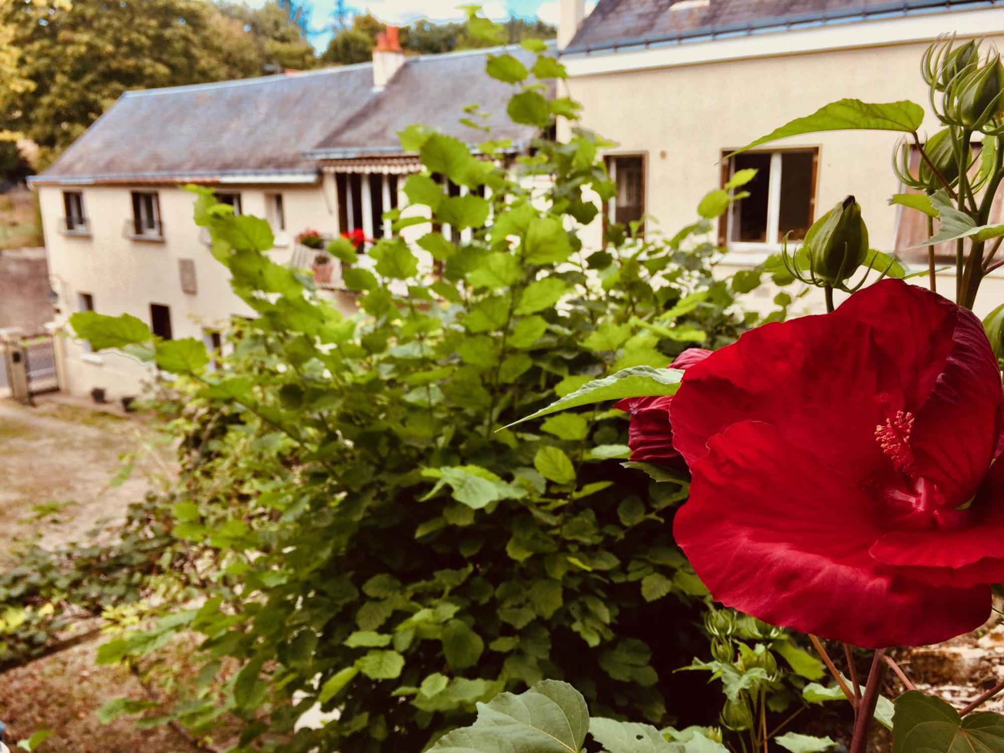 Le Clos Rabelais Langeais Exterior foto